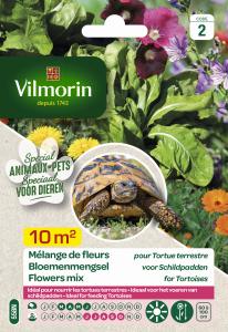 Mélange de fleurs pour Tortues Terrestres